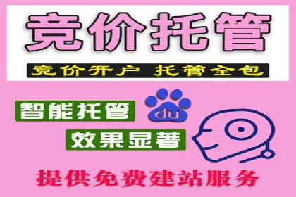百度竞价广告投放的ROI优化：经典案例分享
